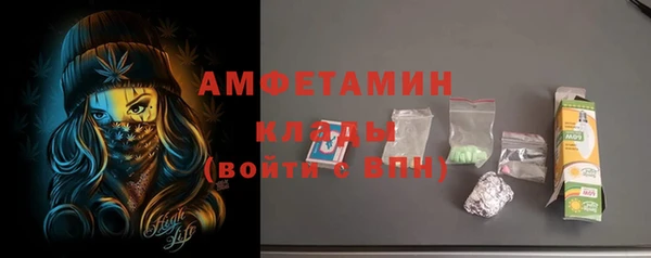 прущие грибы Армянск