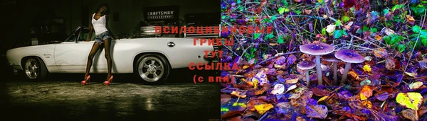 тгк Магадан