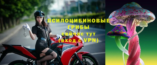 гидропоника Магас