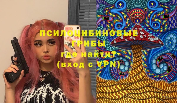 прущие грибы Армянск