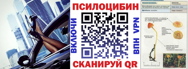 mega как войти  Цимлянск  Галлюциногенные грибы GOLDEN TEACHER 